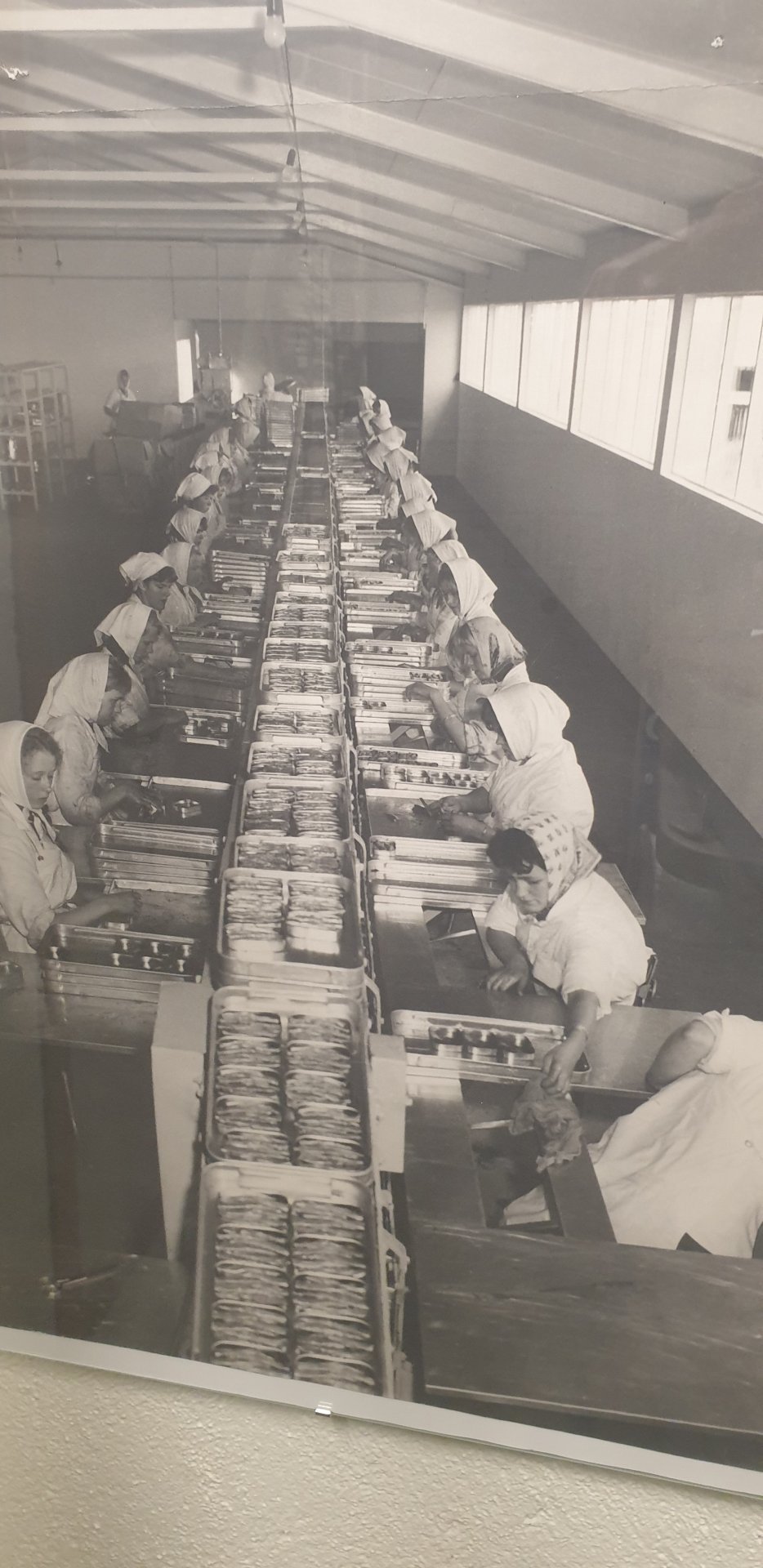 Sagan geymist á Iðnaðarsafninu. 75 ár frá stofnun Niðursuðuverksmiðju K. Jónssona & co