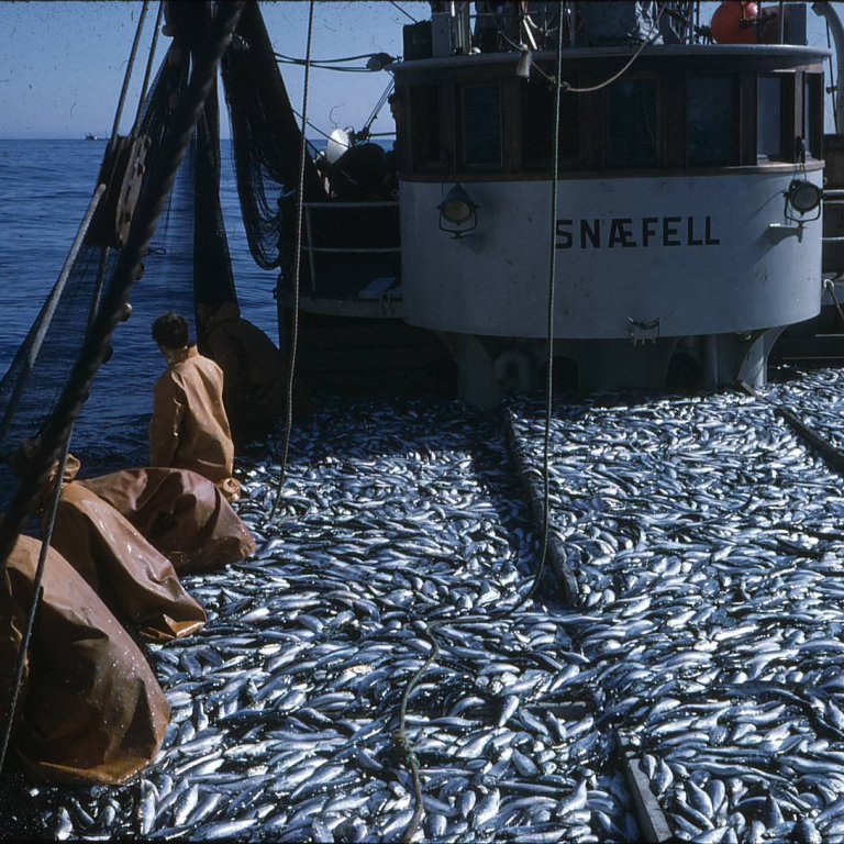 Glæsilegar myndir frá liðinni tíð.